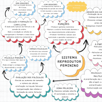 Mapa Mental - Sistema Reprodutor Feminino