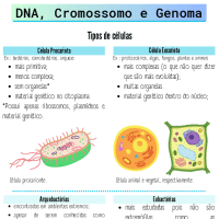 Aula 1 - Genetica Molecular