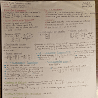 Folha Resumo P1 - Prof. Maria Paula