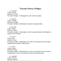 Processos Fonológicos