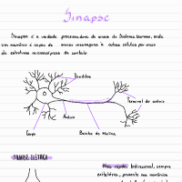 Sinapse_conceito_geral_e_sinapse_quimica