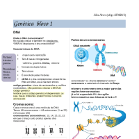 Resumo P1 genetica