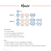 Upload preview