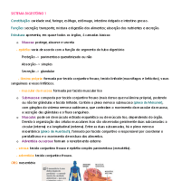 resumo - sistema digestório