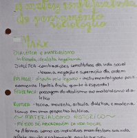 resumo intro. ciencias sociais 