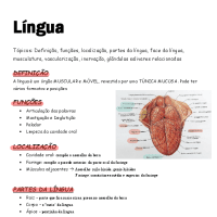 Resumo - Língua - anatomia 1