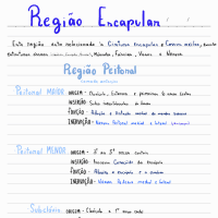 resumo - região escapular - anatomia 1