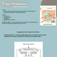 Fisio Humana - Sist. Endócrino