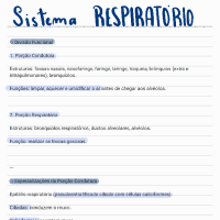 resumo sistema respiratório  - histologia