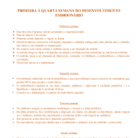 RESUMO 1-4 SEMANAS