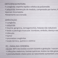 RESUMO DEFICIÊNCIA MOTORA/AMPUTACAO/PARALISIA