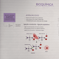 AMINOÁCIDOS E PROTEÍNAS - MAPA MENTAL