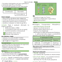 Prova 1