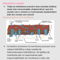 resumo de membrana celular fundamental