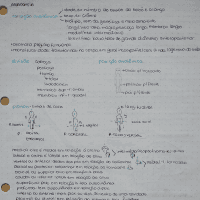 resumo da introdução á anatomia