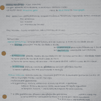 resumos sobre nervos faciais