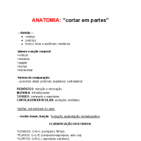 anatomia cabeça e pescoço