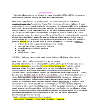 tecido epitelial