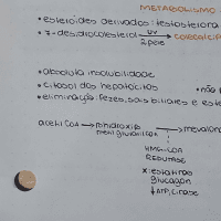 resumo metabolismo do colesterol