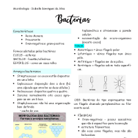 Resumo de bacterias