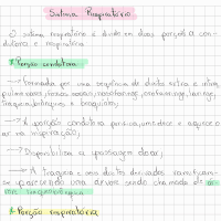 Resumo_Sistema_Respiratório