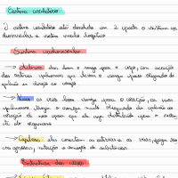 resumo sistema cardiovascular parte1