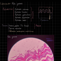Upload preview