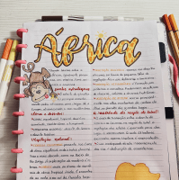 Resume sobre a Africa