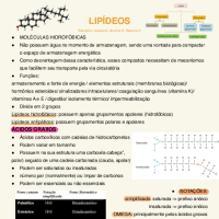LIPÍDEOS: características gerais e específicas