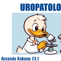 P2- UROPATOLOGIA