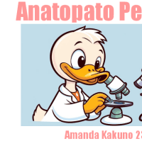 Resumo Perinatal- Amanda Kakuno 23