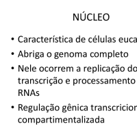 NÃºcleo