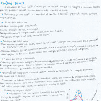 Cinética química