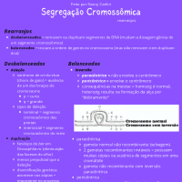 COMBÃO 2 - alterações cromo