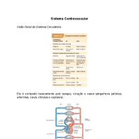 Sistema Cardiovascular - guriasdafarma