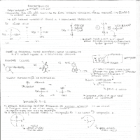 Estereoquimica