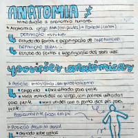 anatomia