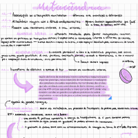 Upload preview
