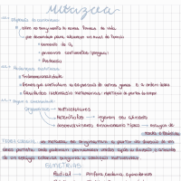 Resumo Metazoa