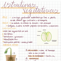 Resumo de estruturas vegetais