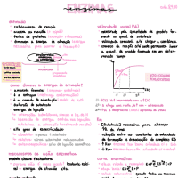 Enzimas