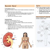 Resumo fisioenal (revisão)