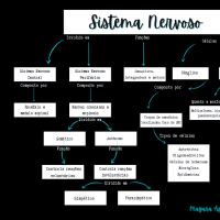 Mapa mental do Sistema Nervoso