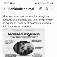 Sanidade Animal