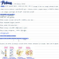 Proteínas_231003_222254