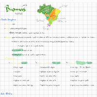 biomas do Brasil