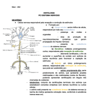 histologia do sistema nervoso - pci neuro m2