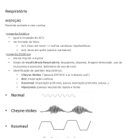 Resumo: Exame Físico do Aparelho Respiratório