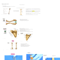 Upload preview