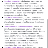 Resumo simples junções celulares